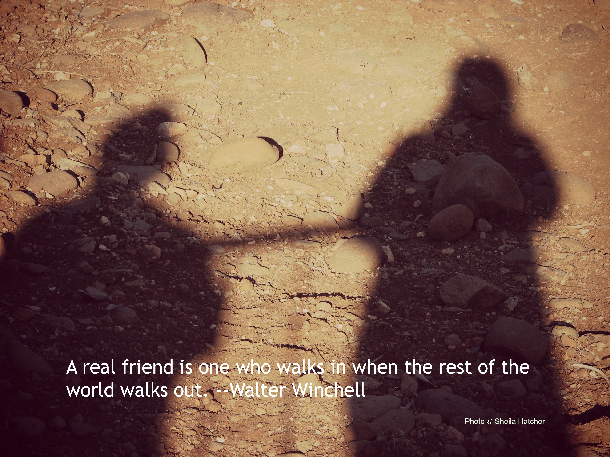 A Real Friend Is One Who Walks In When The Rest Of The World Walks Outwalter Winchell 