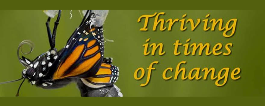 thriving-changes-banner